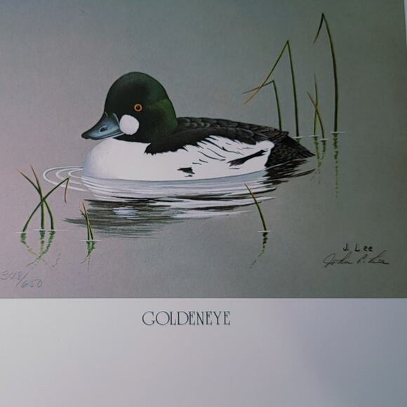 John P Lee 1983 Goldeneye Duck Unframed print #348/650 Pencil Signed 11⅛ x 10¼ - Picture 1 of 7